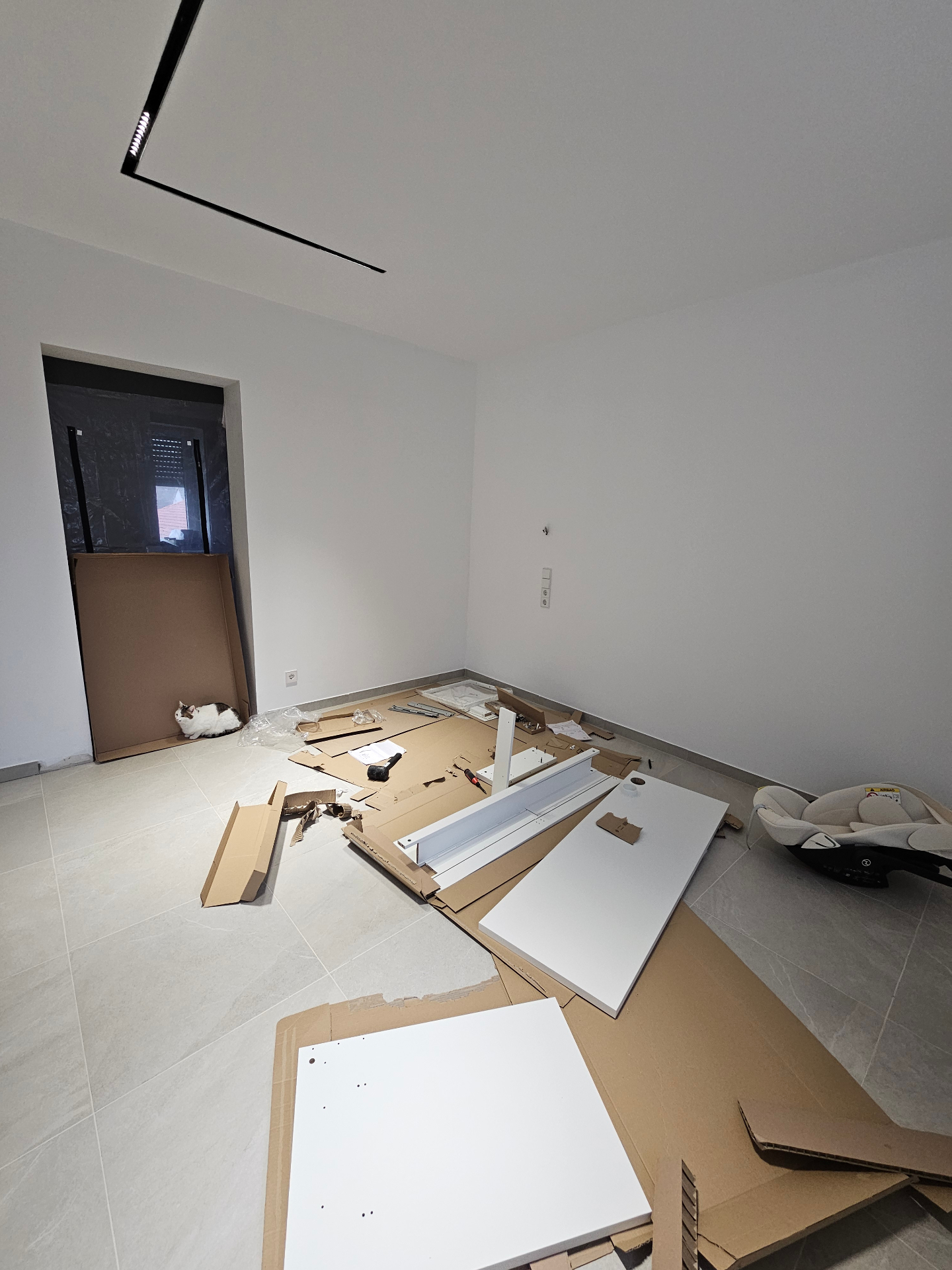 Finished room during furniture assembly with a cat nearby