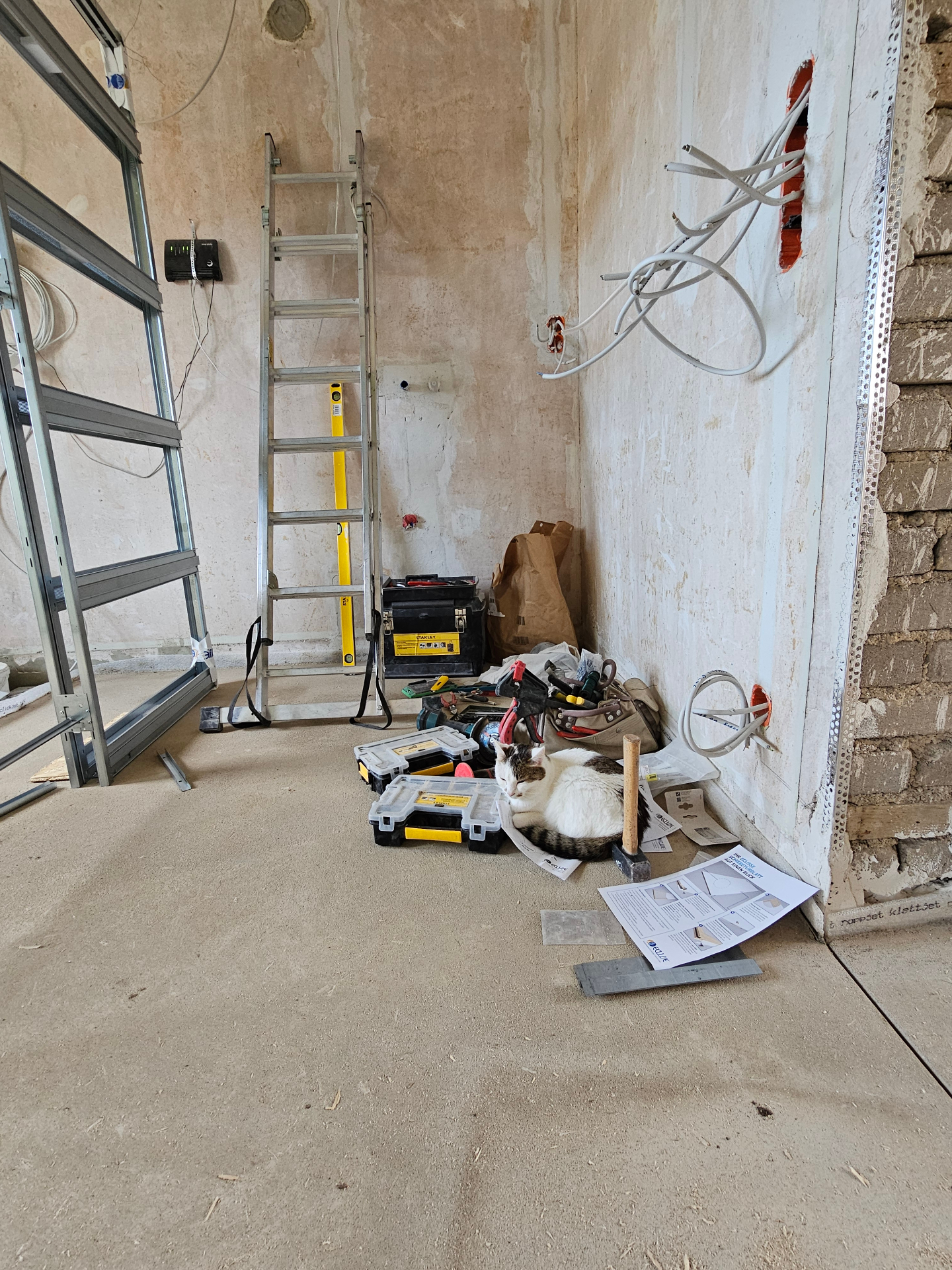A cat resting among the tools on a Vyra worksite